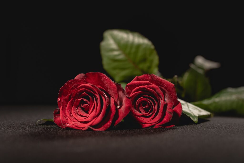 Jakie kwiaty wybrać na pogrzeb bliskiej osoby
